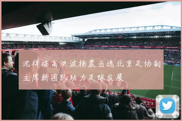 沈祥福高洪波杨晨当选北京足协副主席新团队助力足球发展